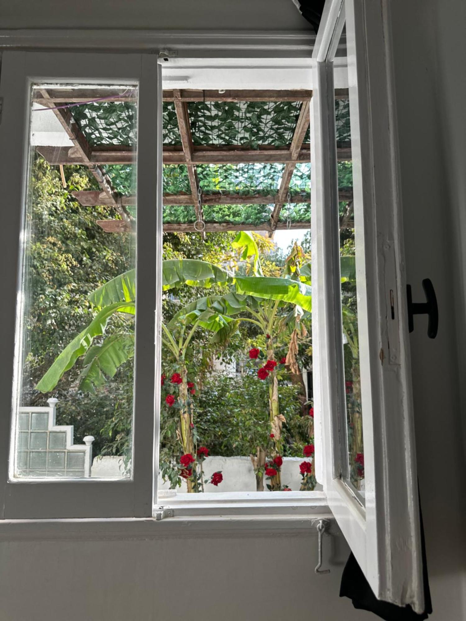 Modern 1-Bedroom Apartment In Zamalek Visits Allowed Kairo Eksteriør billede