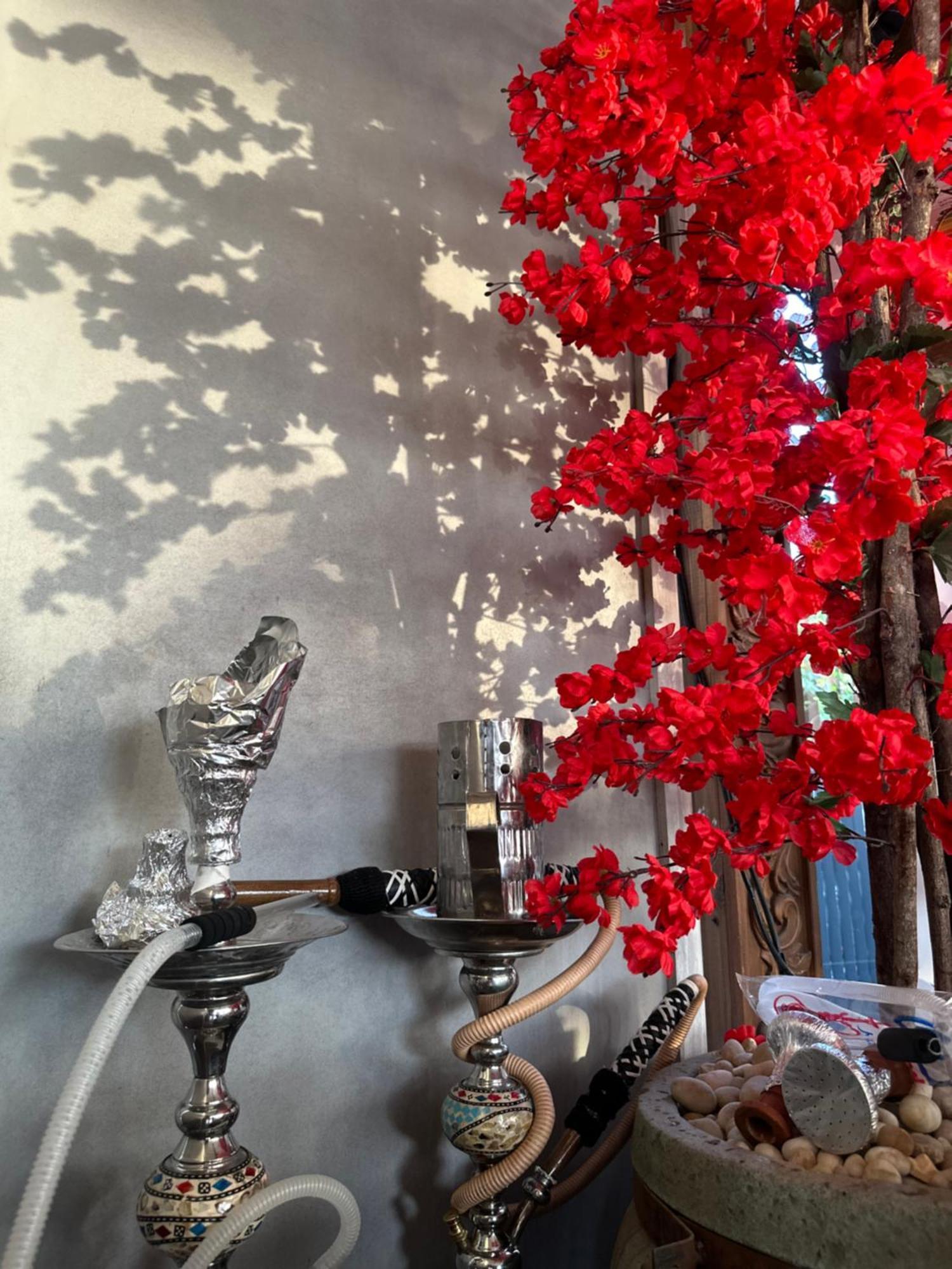 Modern 1-Bedroom Apartment In Zamalek Visits Allowed Kairo Eksteriør billede