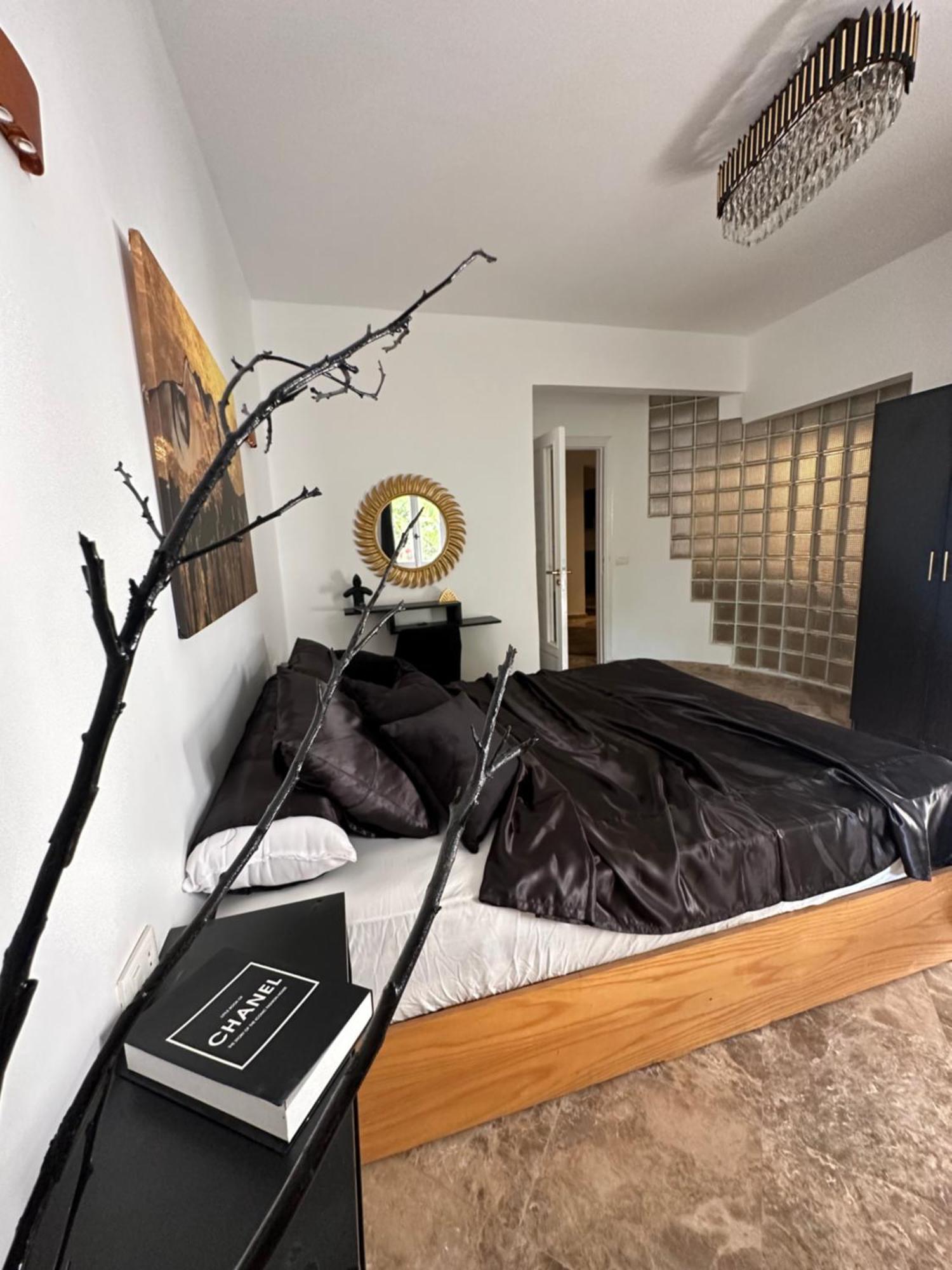 Modern 1-Bedroom Apartment In Zamalek Visits Allowed Kairo Eksteriør billede
